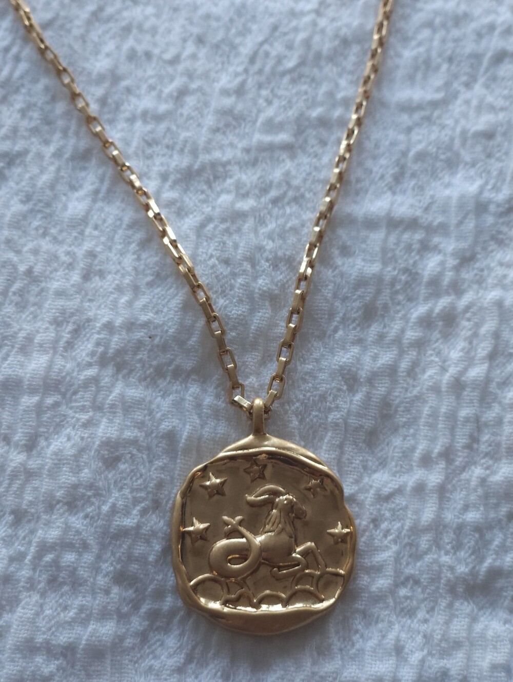 Gold Zodiac Capricorn Pendant Necklace - Women's Jewelry